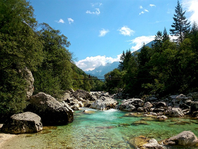 Dovolená v zahraničí